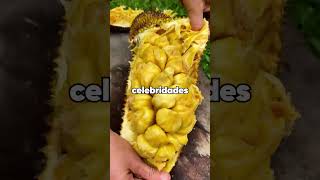 ¿Cuál fue una regla estúpida en vuestro trabajo o escuela que salió mal de manera hermosa?