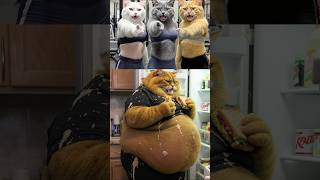 اتنمروا علي القطة مياو في فرحها😭علشان تخينة😱مش هتتوقع جوزها عمل فيها أي💔#shorts #cat #ai