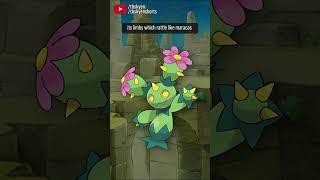 Maractus look like it's dancing, even when it's still | #pokemon