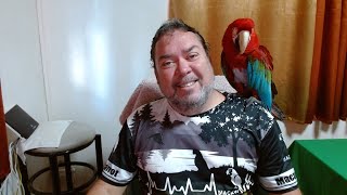 Un p'tit café avec toi et Jackson mon perroquet.