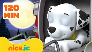 Patrulha Canina em Ação: Hábitos Saudáveis na Hora de Dormir | 90 Minutos 😴 | Nick Jr. em Português