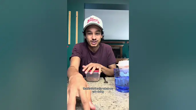 EATING MY PARENTS LEFTOVERS