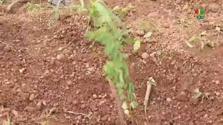 RTB - JT de 19h du 19 août 2025