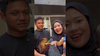 POV MANDI BARENG CAPYBARA