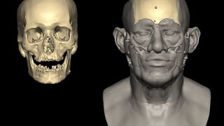 Ancient DNA reveals genetic link between early Egypt and Mesopotamia