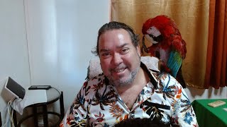 Un p'tit café avec toi et Jackson mon perroquet.