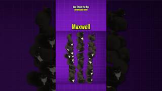 맥스웰이 너무 많아요 😔