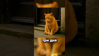 Трогательно