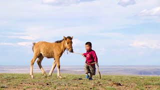 МУГЖ Г.Батбаяр, МУСТА Н.Батсайхан, Б.Сонгууль - ДЭЛГЭРХЭН БАЯДЫН НУТАГ