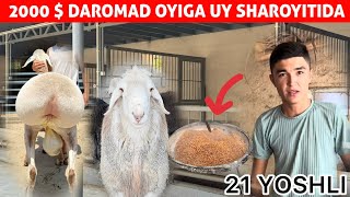 21 YOSHLI UKAMIZDAN QOY BOQIB PUL TOPISH SIRLARI – OYIGA 2000$ 💵