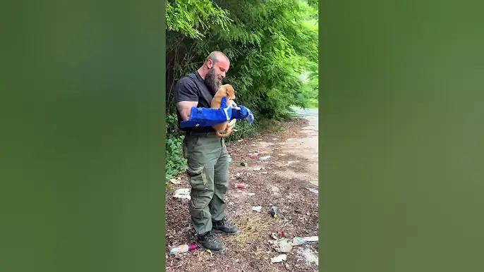 Gerettet ❤️‍🩹 #savethedogsbih #rescuedogs #teamwork #pleasehelp #pleasedonate #welpen #puppy