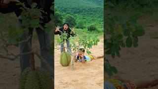 Survival Skills: SMART ideas and USEFUL with single mom in forest #camping #outdoor #ideas