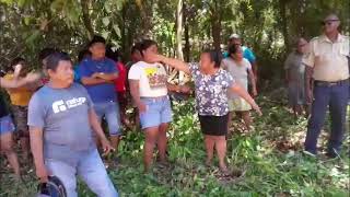 Land Survey Key to Maya Center Solution