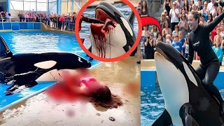 Jessica Eaten by a Dolphin! What Really Happened