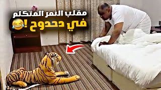 مقلب النمر المتكلم في دحدوح 😂😂😂