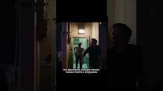 Муравьи спасли этого человека 😳