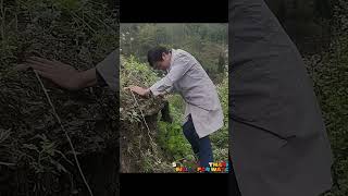 친절의 특별한 다리 - 좋은 것 #존중 - #25167 -#반바지# AlidaTV9593