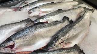 Namibia secures N$41 million financing for first-ever Salmon Farming Project