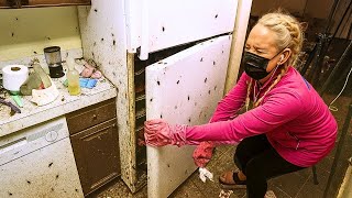 극심한 바퀴벌레 혼란 - 경고합니다!!!