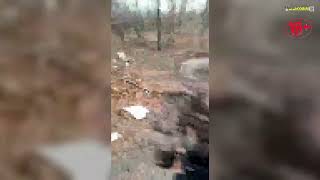 Вот так наши лежат,на** никому не нужные...#война #россия #украина