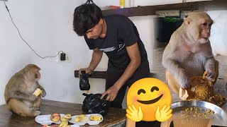 Monkey Rani Breakfast,  lunch dono vidio 🤗।। monkey rani lunch With chillar party