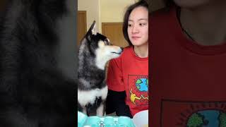 가장 믿을 수 있는 도우미들 🥰🥰🥰