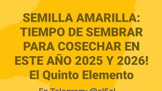 LA SEMILLA AMARILLA: LO QUE VENDRA SEMBRANDO PARA COSECHAR! LO QUE VIENE EN BREVE #loquevendra