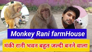 Monkey rani Farmhouse 🤣।। Monkey rani bhawan ।। Monkey rani gao ke logo ke sath kaise rahti hai