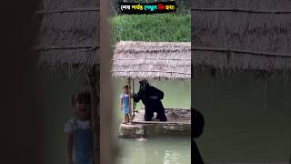 Survival Skills: SIMPLE and USEFUL #bushcraft #camping #outdoors #shorts