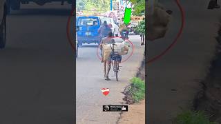 A SIMPLE ACT OF KINDNESS THAT WILL MAKE YOU CRY 😭💔 | MRBEAST ASMR #mrbeast #asmr #trending #shorts