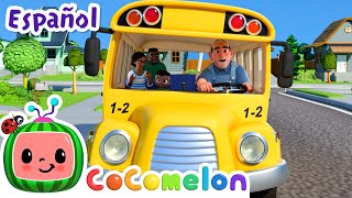 Las ruedas del autobus | Canciones Infantiles | Caricaturas para bebes | CoComelon en Español