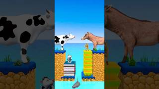 Money vs Knowledge, You will choose? #shorts