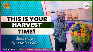 𝐓𝐇𝐈𝐒 𝐈𝐒 𝐘𝐎𝐔𝐑 𝐇𝐀𝐑𝐕𝐄𝐒𝐓 𝐓𝐈𝐌𝐄! | 𝐃𝐄𝐂𝐋𝐀𝐑𝐀𝐓𝐈𝐎𝐍