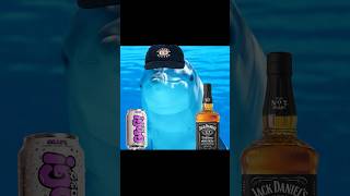 Dolphins get DRUNK
