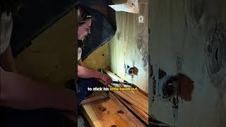 When that cute face pops out in the end 🥹🥹