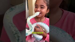 사람들이 항상 두려워하는 가장 친절한 뱀은 바로 이것입니다 🐍 😅 😆