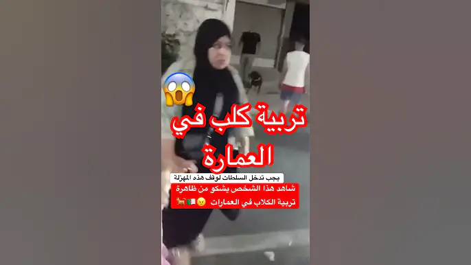 شاهد هذا الشخص يشكو من ظاهرة تربية الكلاب في العمارات  😠🇩🇿🐕 #الجزائر #algerie #algeria #dzair