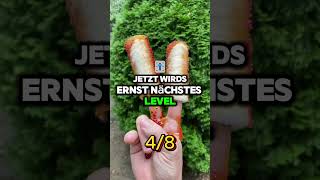 Senke einen Finger wenn du diese viralen Songs kennst! 🎵🔥