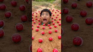 Bushcraft Skills: Very SMART idea and USEFUL #bushcraft #outdoors #camping #survival #shorts #useful