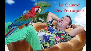 Canapé des perroquets du 02 Août 2025