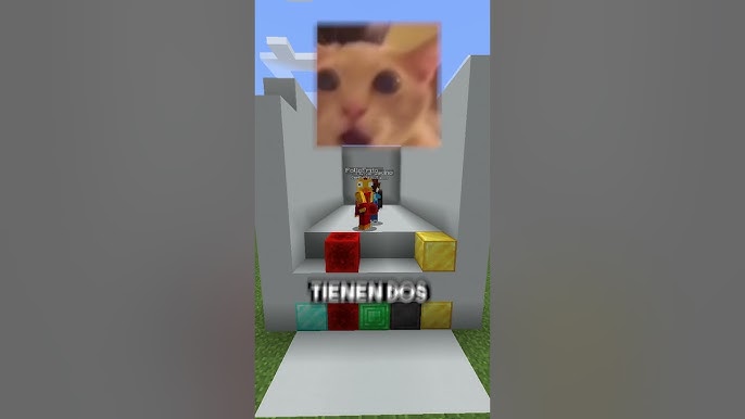 Pollo y Nova tienen una técnica secreta