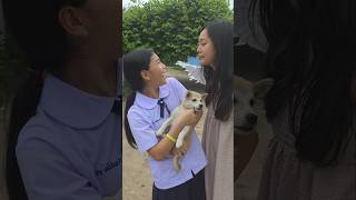 Kind Angel🥺❤️ and Strong Dog‼️💕 | JJaiPan #Shorts