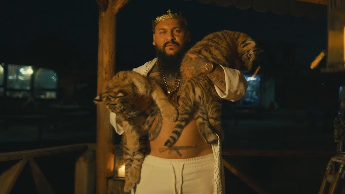 Dani Mocanu  🐅 Tigrul tau | Official Video