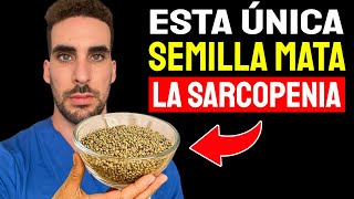 La mejor semilla para fortalecer las piernas en adultos mayores - Mata la Sarcopenia