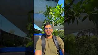 سويت حديقة صديقي من الصفر