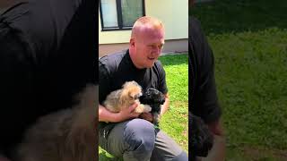 Gerettet  #savethedogsbih #pleasedonate #pleasehelp #puppy #dogs #tiere #shorts