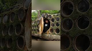 Construyó una increíble casa dentro de un árbol gigante 🌳✨#shorts