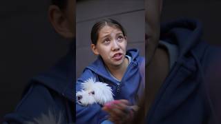 Про собаку: 1 серия #викачжан #сериал #vikazang #фильм #кино