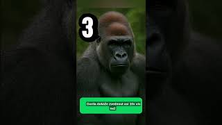 TOP 5 Nejsilnějších zvířat #shorts #pandaaashorts