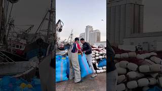 يوم من يوميات شاب مكافح…#morocco #minivlog #vlog #photography